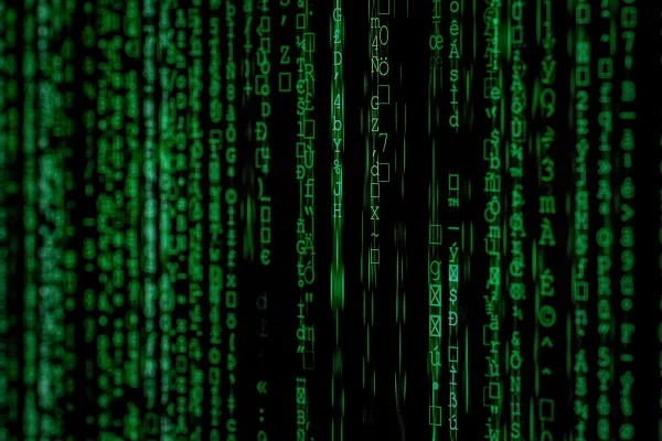 The Environmental Trade-Offs of Digital vs. Physical Mystery Boxes